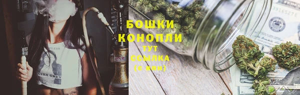 шишки Баксан