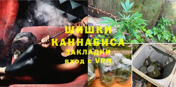 шишки Баксан