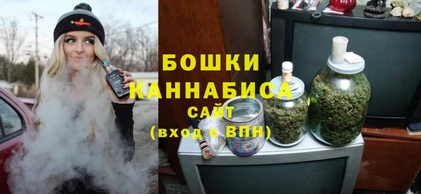 шишки Баксан